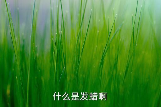 凯发k8娱乐官网app下载发蜡有什么用发